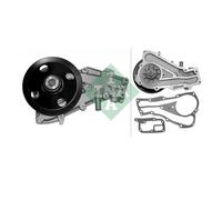 Ina 538 0376 10 Pompe Refroidissement Moteur pour Renault Rapid Super 5 9 11 19