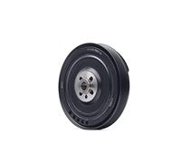 INA 544 0002 10 Poulie damper (vilebrequin)