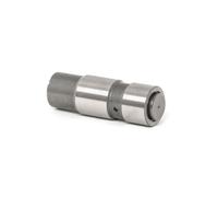 INA 551 0006 10 Tendeur chaîne de distribution hydraulique