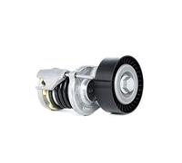INA Bras de tension de la courroie trapézoïdale à nervures 534016410 | Compatible avec: AUDI A1, A1 Sportback, A3, A3 Cabriolet, A3 Sportback, A4 Allroad B8, A4 B6, A4 B6 Avant, A4 B7, A4 B7 Avant