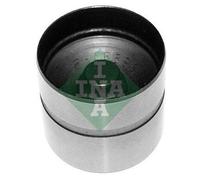 INA Composants moteur 420021010