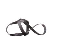 INA Courroie Poly-V Courroie d'accessoire FB 6PK1195 pour BMW 8 (E31) 1195mm