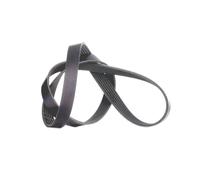 INA Courroie Poly-V Courroie d'accessoire FB 6PK1245 pour OPEL Meriva B (S10)