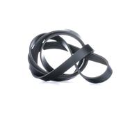 INA Courroie Poly-V Courroie d'accessoire FB 6PK1873 pour VW Ameo (631) 1873mm