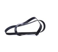 INA Courroie Poly-V Courroie d'accessoire FB 6PK2260 pour AUDI COUPE (89, 8B)