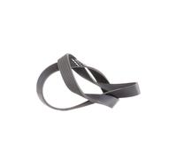 INA Courroie Poly-V Courroie d'accessoire FB 7PK1125 pour RENAULT Scénic II (JM)