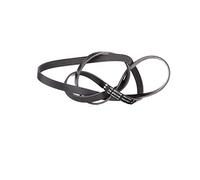 Courroie trapézoïdale à nervures INA FB 5PK1745