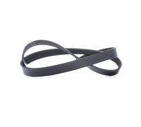 INA fB 6PK1070 courroies de distribution, Black/White