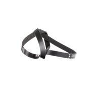 INA FB 6PK1180 Courroie Poly-V