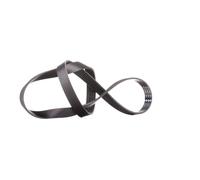 INA FB 6PK1195 Courroie Poly-V