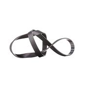 INA fB 6PK1195 courroies de distribution