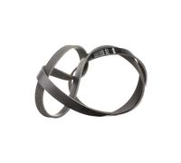 INA FB 6PK1555 Courroie Poly-V