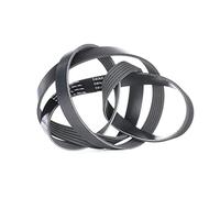 INA fB 6PK1613 courroies de distribution