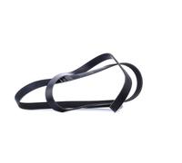 INA Courroie Poly-V FB 6PK2260 pour Mercedes-Benz Audi Opel Mazda Lexus