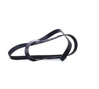 INA fB 6PK2260 courroies de distribution