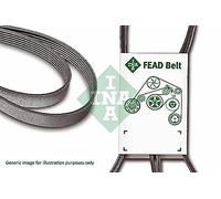 INA fB 6PK2403 courroies de distribution