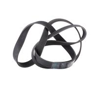 INA FB 7PK1795 Courroie Poly-V