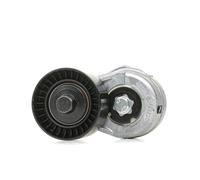 INA Galet tendeur de courroie d'accessoire Tendeur de courroie 534 0109 20 29mm