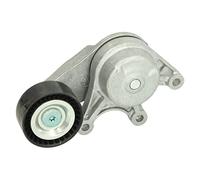 INA Galet tendeur de courroie d'accessoire Tendeur de courroie 534 0535 10