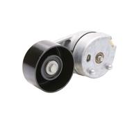 Tendeur de courroie multi-cannelée 534 0597 10 INA pour LAND ROVER