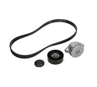 INA Jeu de courroies trapézoïdales à nervures 529 0102 10 1043mm Compatible avec VW Golf III 3/5 portes 1H1 Sharan I 7M8, 7M9, 7M6 Golf III Cabriolet 1E7 Golf IV Cabriolet 1E Vento 1H2, FORD