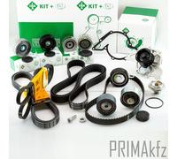 Ina Kit Courroie de Distribution + Thermostat + Conti + Rouleaux pour Audi VW