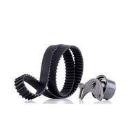 INA Kit de distribution 530 0006 10 32mm Compatible avec BMW 3 Berline E30 5 Berline E34 3 Cabriolet E30 5 Berline E28 3 Berline E21 3 Touring E30