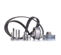 Ina Kit de distribution INA 530 0082 10 pour Audi, Seat, Skoda, VW