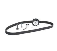 INA Kit de distribution 530 0085 10 pour VW GOLF III (1H1) Golf IV Cabrio (1E)