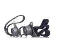 INA Kit de distribution 530 0109 10 pour HYUNDAI TERRACAN (HP)