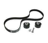 INA Kit de distribution 530 0111 10 30mm Compatible avec FIAT Ducato II Camion plate-forme/Châssis 244 Ducato II Camion plate-forme/Châssis 230 Ducato II Van 244 Ducato II Bus 230 Scudo I Van 220