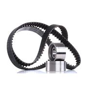 INA Kit de distribution 530 0112 10 pour Fiat, Iveco, Peugeot, Renault, Citroën