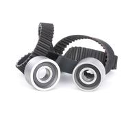 INA Kit de distribution 530 0117 10 pour OPEL Movano Kastenwagen (X70)