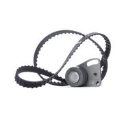 Kit de courroie de distribution 530 0135 10 INA pour FORD FORD OTOSAN