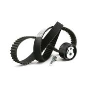 INA Kit de distribution 530 0144 10 pour FORD Transit Mk4 Van (VE83) pour LDV