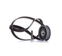INA Kit de distribution 530 0149 10 24mm Compatible avec VW Golf III 3/5 portes 1H1 Transporter T4 Minibus 70B, 70C, 7DB, 7DK, 70J, 70K, 7DC, 7DJ Transporter T4 Van 70A, 70H, 7DA, 7DH Corrado 53i
