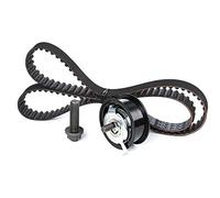 INA Kit de distribution 530 0164 10 30mm Compatible avec VW Golf 3 3/5 portes 1H1 Transporter T4 Minibus 70B, 70C, 7DB, 7DK, 70J, 70K, 7DC, 7DJ Transporter T4 Van 70A, 70H, 7DA, 7DH, AUDI