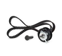 INA Kit de distribution 530 0164 10 pour VW GOLF III (1H1) Golf IV Cabrio (1E)