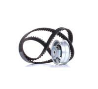 INA Kit de distribution 530 0171 10 pour VW GOLF VI (5K1) POLO (9N) PASSAT (3B3)