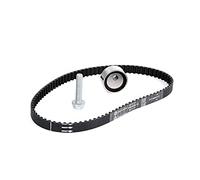 INA Kit de distribution 530 0182 10 22mm Compatible avec RENAULT Clio 2 3/5 portes BB, CB, BB0/1/2, CB0/1/2 Twingo 2 3 portes CN0 Kangoo 1 KC, KC0/1 Twingo 1 3 portes C06 Kangoo 1 Express FC, FC0/1