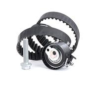 INA Kit de distribution 530 0195 10 – 29 mm – pour Dacia, Renault, Nissan, Peugeot, Proton