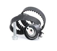 INA Kit de distribution 530 0195 10 pour RENAULT CLIO II (BB0/1/2, CB0/1/2)