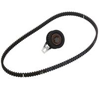 INA Kit de distribution 530 0347 10 Nombre de dents: 25 19,7mm Compatible avec ALFA ROMEO 147 937, LANCIA DEDRA 835