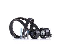 INA Kit de distribution 530 0379 10 30mm