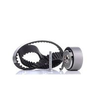 INA Kit de distribution 530 0481 10 32mm Compatible avec VW Touareg I 7LA, 7L6, 7L7 Phaeton 3D1, 3D2, 3D3, 3D4, 3D6, 3D7, 3D8, 3D9, AUDI A4 B8 Avant 8K5 A4 B7 Avant 8ED A6 C6 Avant 4F5 A5 B8 Coupé 8T3