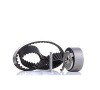 INA Kit de distribution 530 0481 10 pour VW Touareg (7LA, 7L6, 7L7)