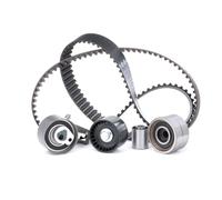 INA Kit de distribution 530 0509 10 pour HYUNDAI TERRACAN (HP) pour KIA