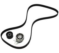 INA Kit de distribution 530 0561 10 30mm