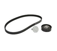 INA Kit de distribution 530 0604 10 22mm Compatible avec RENAULT Clio II 3/5 portes BB, CB, BB0/1/2, CB0/1/2 Kangoo II Express FW, FW0/1 Kangoo II/Grand Kangoo KW, KW0/1 Kangoo I Express FC, FC0/1