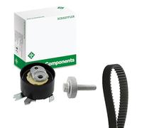 INA Kit de distribution 530 0843 10 Compatible avec RENAULT Kangoo 2 Express FW, FW0/1 Kangoo 2 / Grand Kangoo KW, KW0/1, MERCEDES-BENZ W177, NISSAN Qashqai II J11, J11, DACIA Duster II